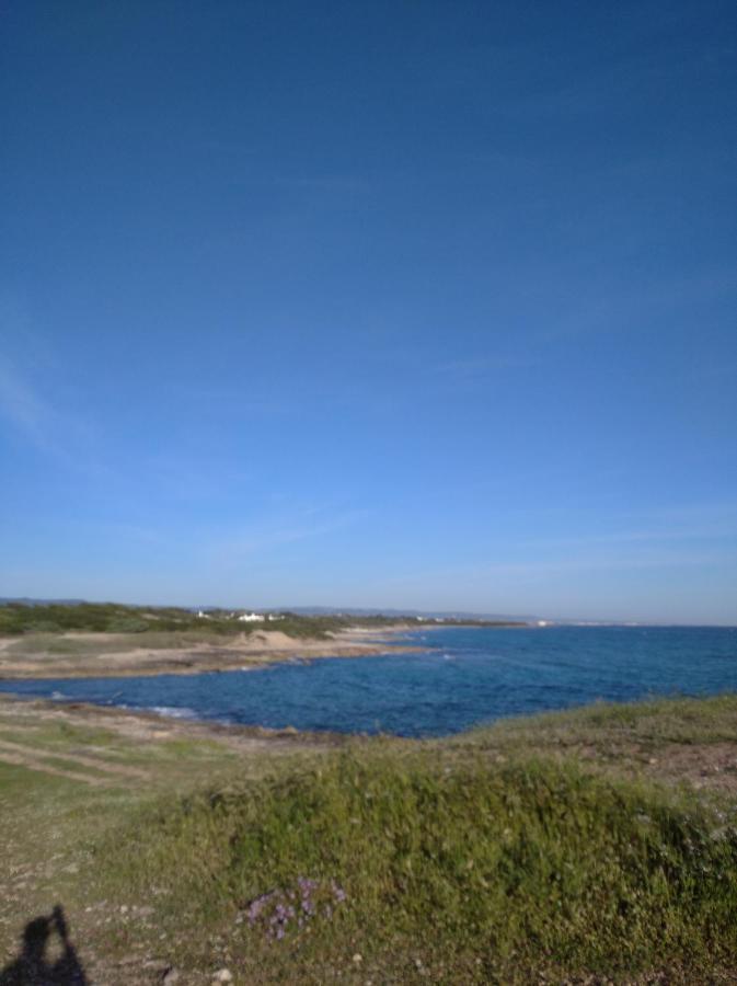 Bed and Breakfast Il Principe Viendalmare Ostuni Exterior foto
